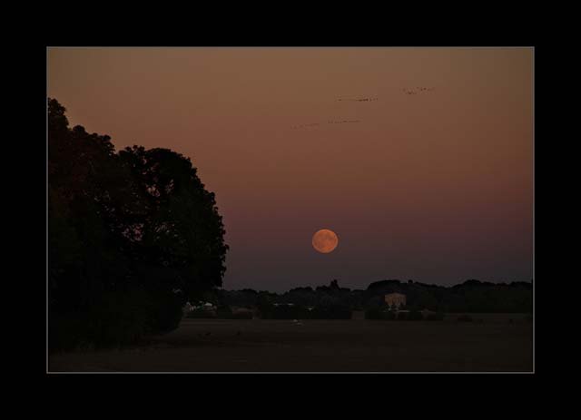 Landschaft mit Mond